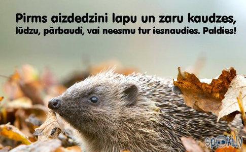 Autors: rasiks Kad gribas smaidīt, bet nav par ko (3.)