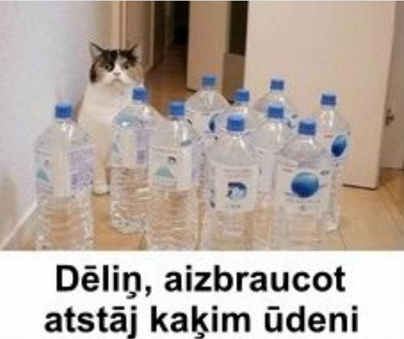 Autors: rasiks Kad gribas smaidīt, bet nav par ko (4.)