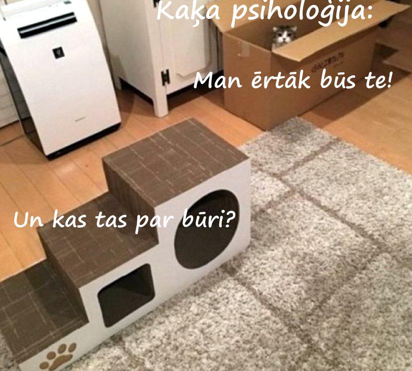 Autors: rasiks Kad gribas smaidīt, bet nav par ko (4.)