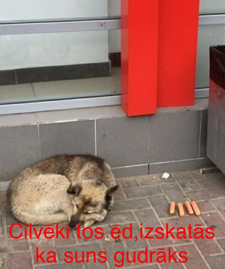 Autors: Charged Ieskaties, lai labāks noskaņojums.