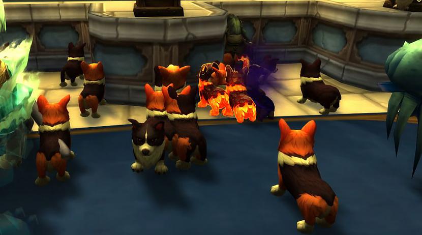 Autors: Latvian Revenger World of Warcraft jubilejas svinību ietvaros, visus pārvērš par Korgijiem