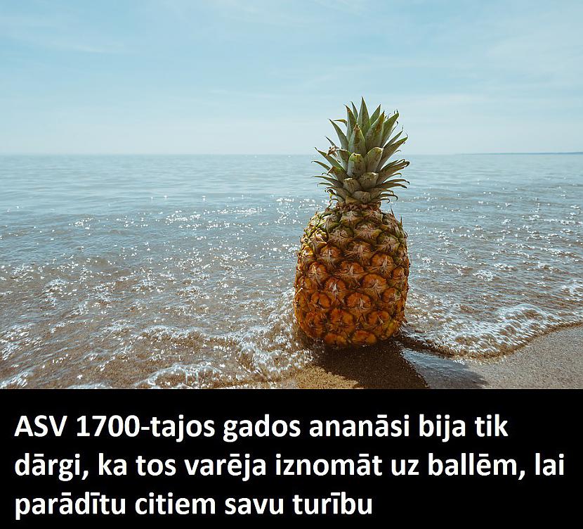 Autors: Lestets 11 nejauši fakti