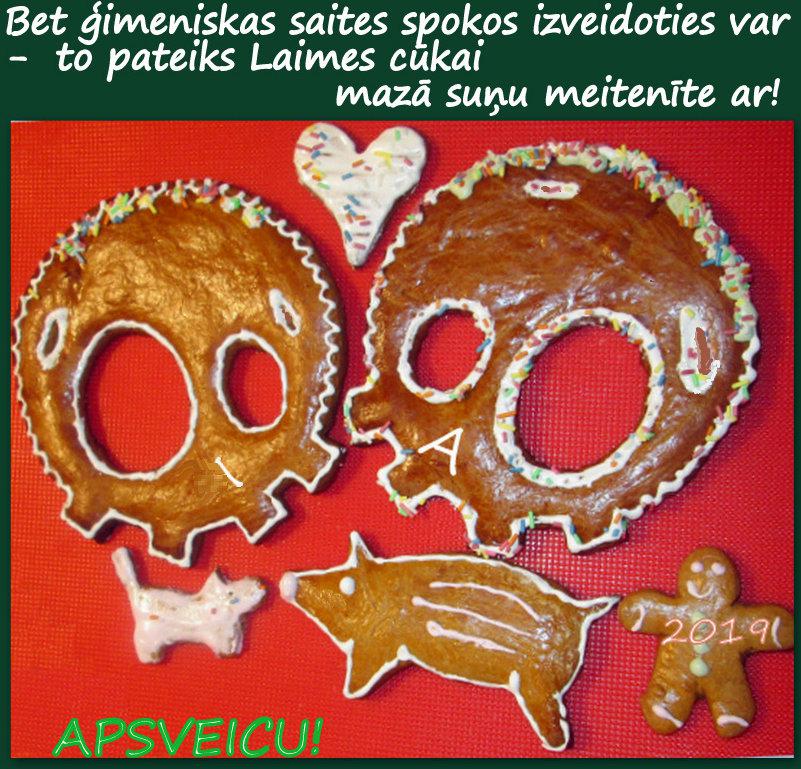 Autors: rasiks Gadu aizvadot