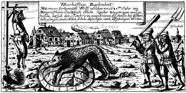 Kāds jocīgāks atgadījums... Autors: Bezjēdzīgais Gadījumi, kad cilvēki sastapa vilkačus, 1. daļa