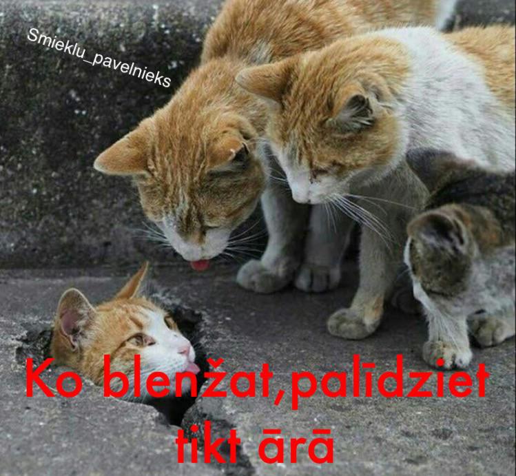 Autors: Charged Bilžainie