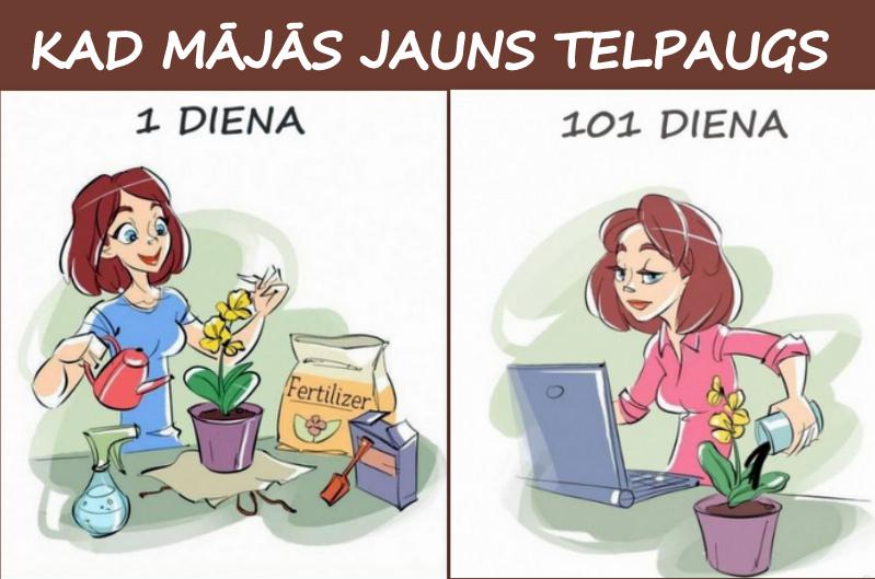 Autors: rasiks 1. un 101. diena