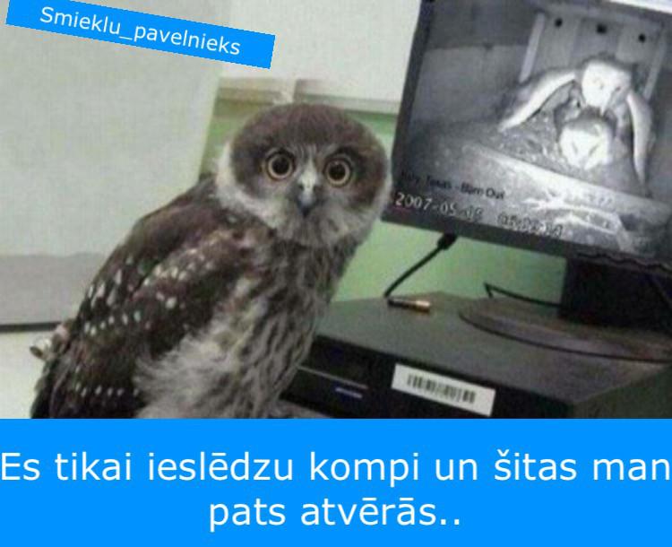 Autors: Charged Joku izlase: Smaids rada smaidu
