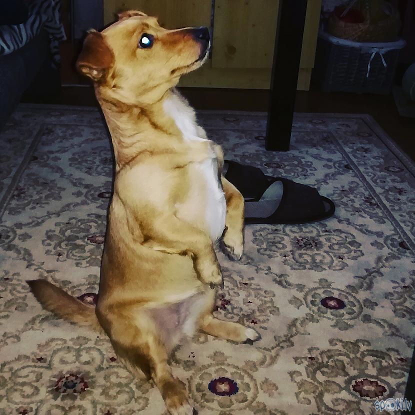 Autors: grenda26 Mani noķertie mirkļi...