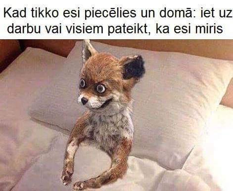 Autors: S1NTA Memītes tieši Tev #2