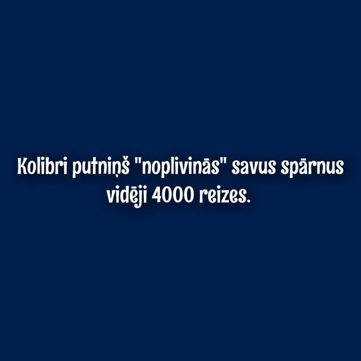 Autors: Spoklandija Ko pasaule spēj izdarīt nieka vienas minūtes laikā?