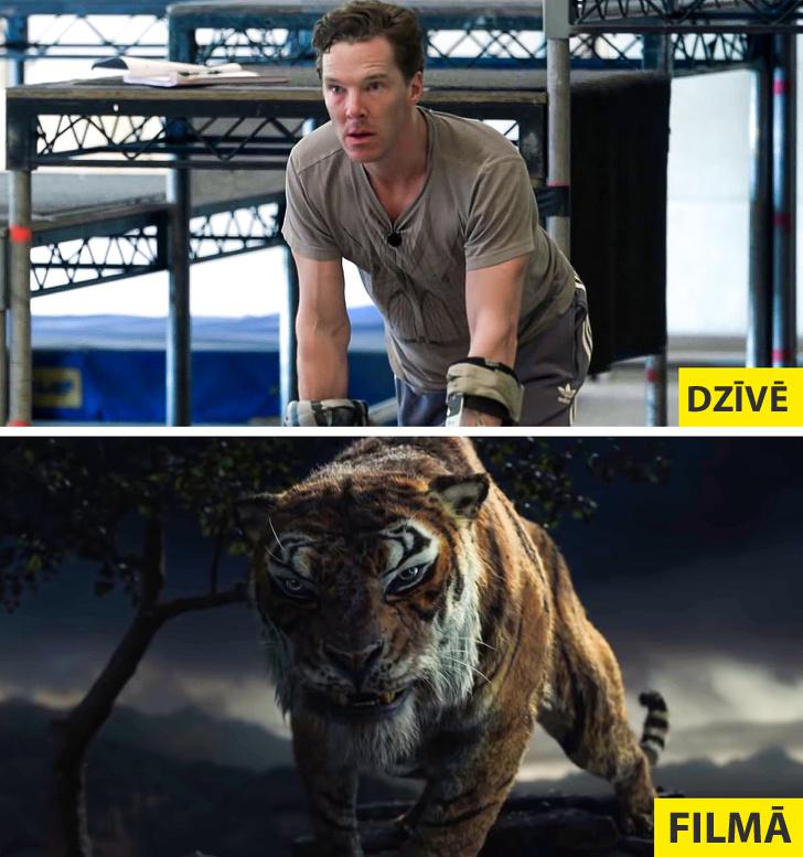 Mowgli Legend ofnbspthe Jungle Autors: matilde Slavenu filmu aizkadru foto «pirms» un «pēc» apstrādes ar specefektiem