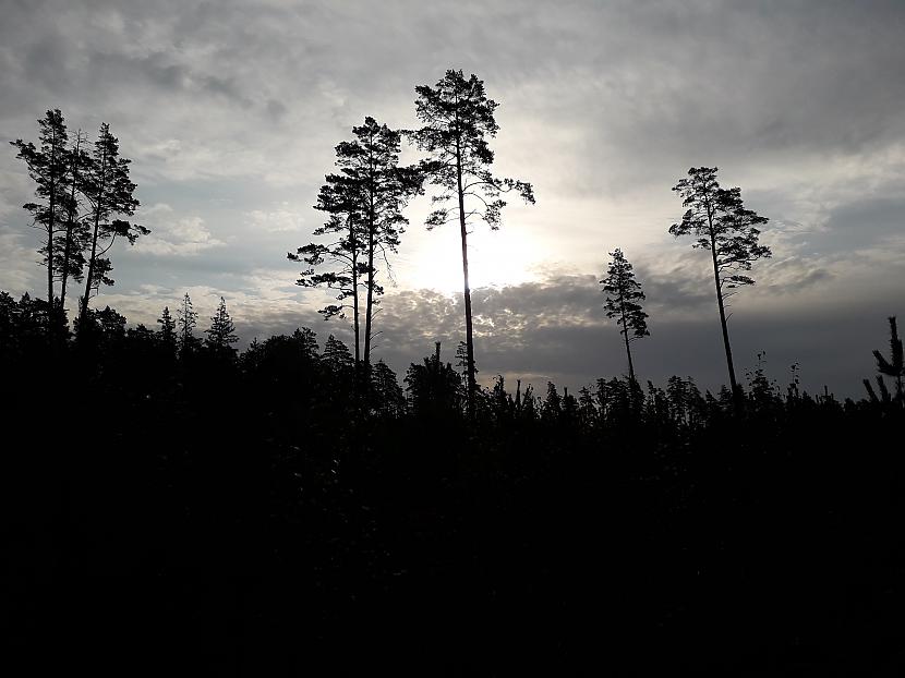 Autors: Griffith 2018. gada atvaļinājums, 9. septembris.