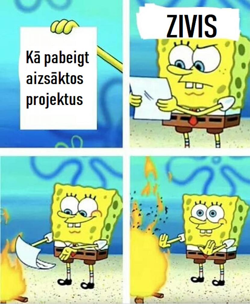 Autors: The Diāna Memes par ZIVĪM