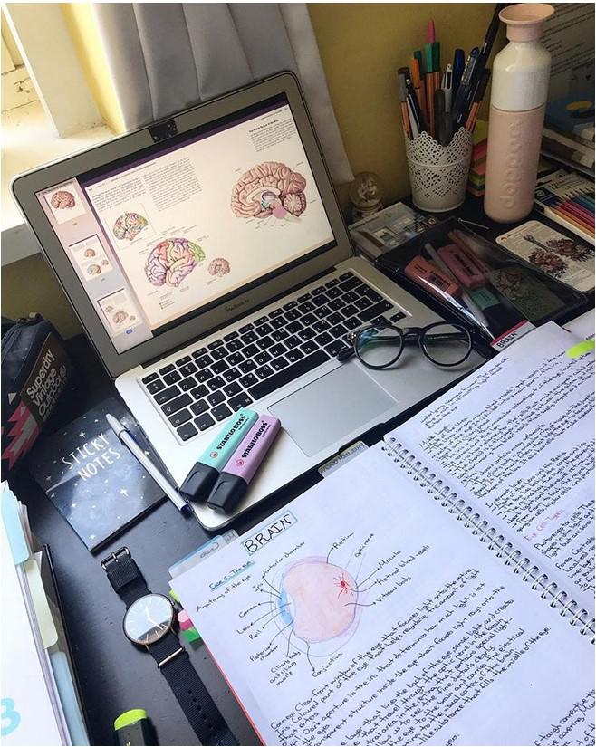MācīscaronanāsInstagram... Autors: The Diāna Patiesība un mīti par studenta dzīvi
