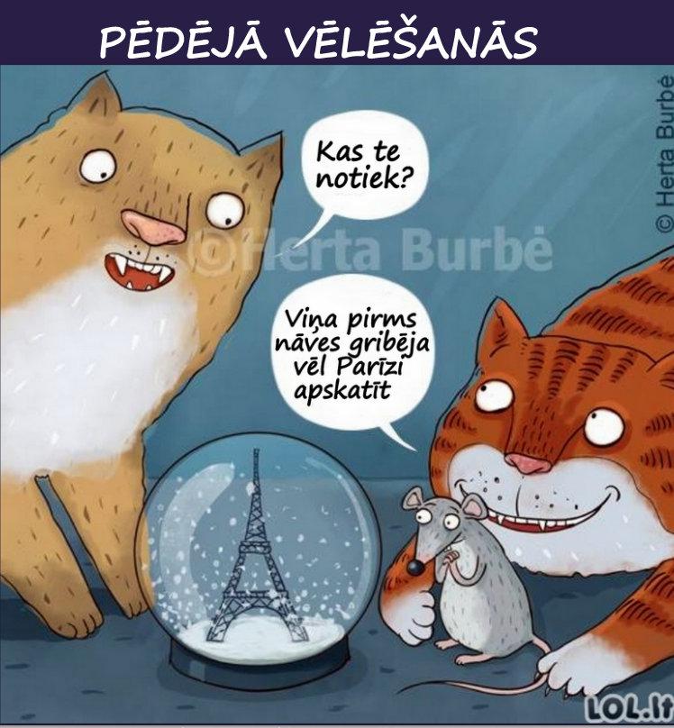 Autors: rasiks Atkal dažādi bilžuki