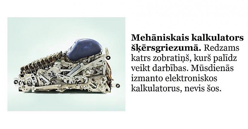 Autors: The Diāna Izglītojies: 10 attēli, kuri padarīs tevi mazliet gudrāku