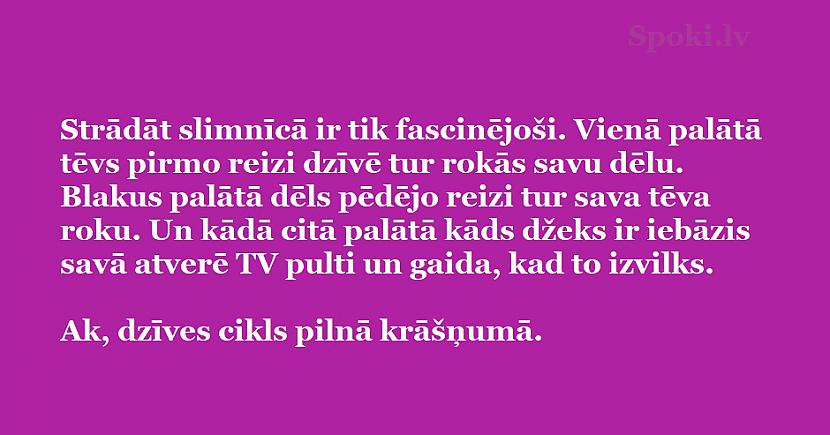 Autors: The Diāna Jociņš vajag? Humora deva lieliskam vīkendam