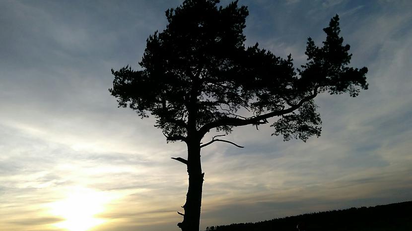 Kristaps kā kārtīgs Kristus... Autors: Vinnīts Slimnieka dzīve