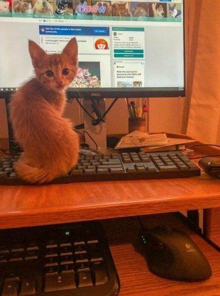 Viltus tastatūras triks... Autors: nikrider Ikdienas triki, kurus vēlēsies izmēģināt