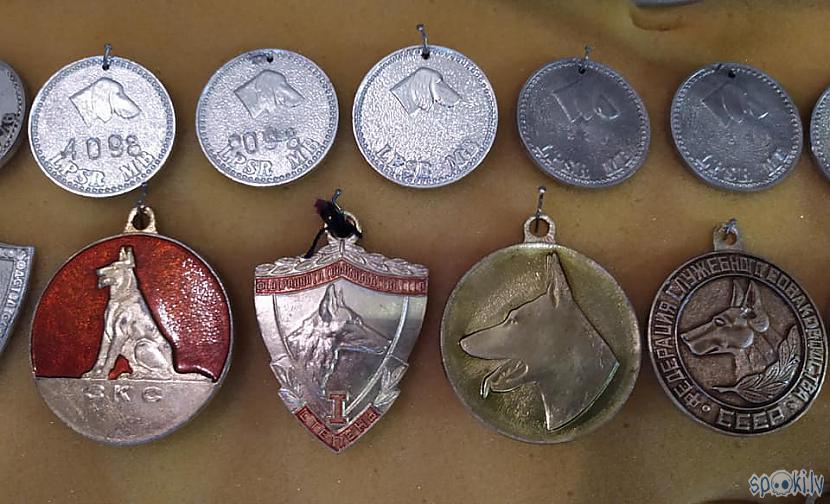 Autors: SalvatoreMundi Mana suņu žetonu kolekcija.