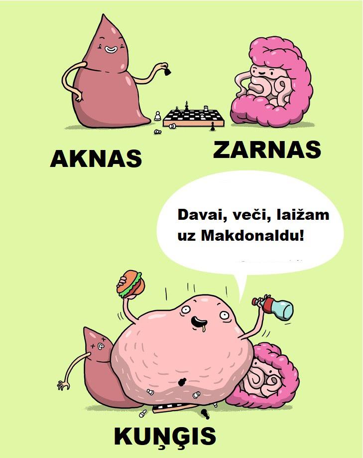 Autors: The Diāna Smieklīgi komiksiņi par to, kādu dzīvi dzīvo mūsu iekšējie orgāni