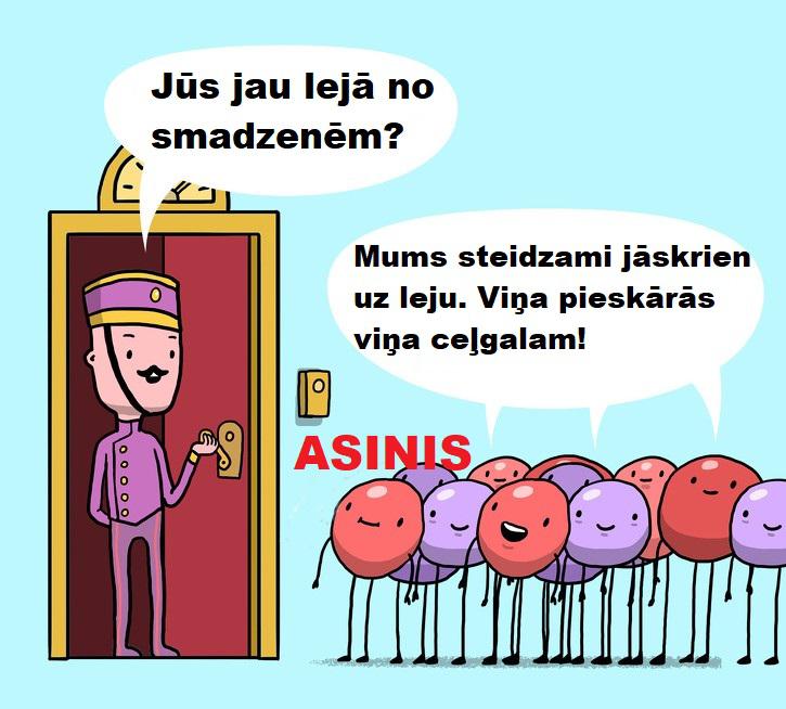 Autors: The Diāna Smieklīgi komiksiņi par to, kādu dzīvi dzīvo mūsu iekšējie orgāni