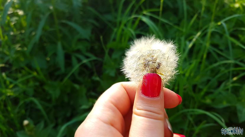 Autors: Minka-Murr Un Pavasaris pienāca skaisti