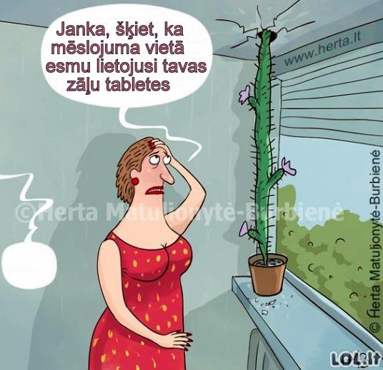 Autors: rasiks Dažādas bildītes no ikdienas