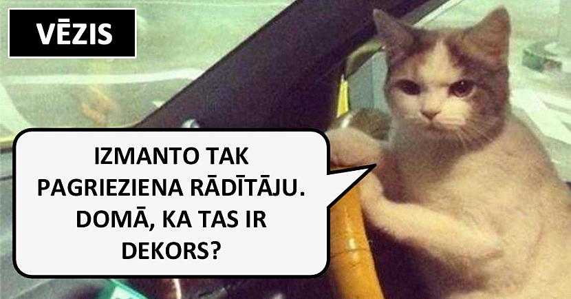 Autors: matilde Lūk, kā automašīnu vada dažādas zodiaka zīmes