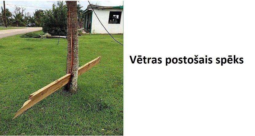Autors: The Diāna 26 foto, kuri parāda dabas apbrīnojamo spēku