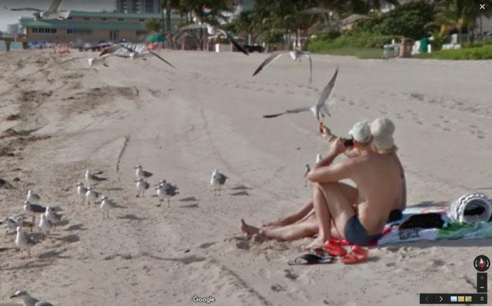 Autors: matilde Foto izlase: Dzīvnieki, kuri netīšām nokļuva «Google Street View»