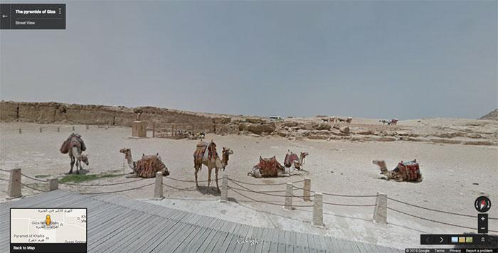 Autors: matilde Foto izlase: Dzīvnieki, kuri netīšām nokļuva «Google Street View»