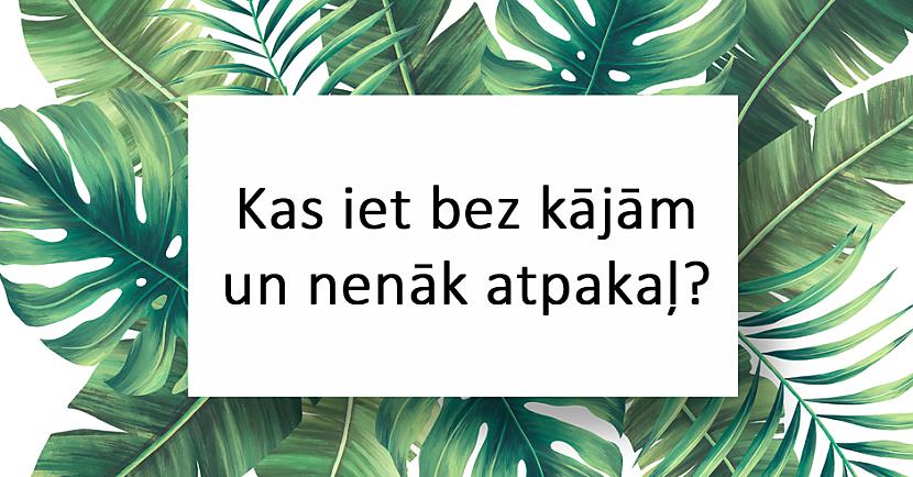 nbspAtbildenbspLaiks Autors: matilde 20 interesantas latviešu tautas mīklas