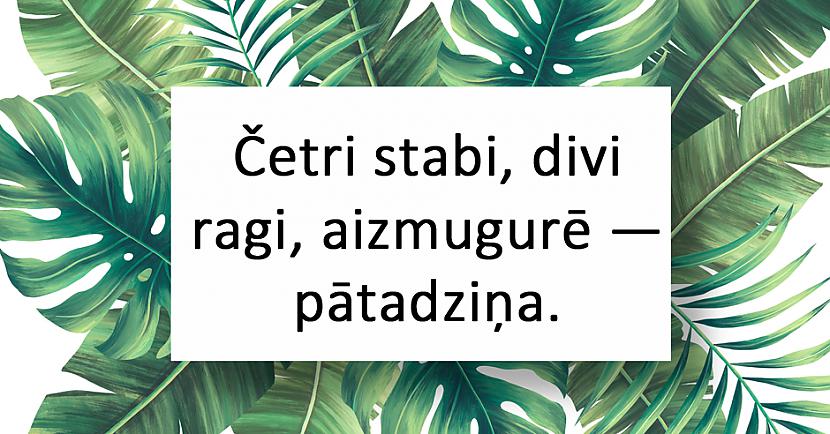 nbspnbspnbspAtbildenbspPele Autors: matilde 20 interesantas latviešu tautas mīklas