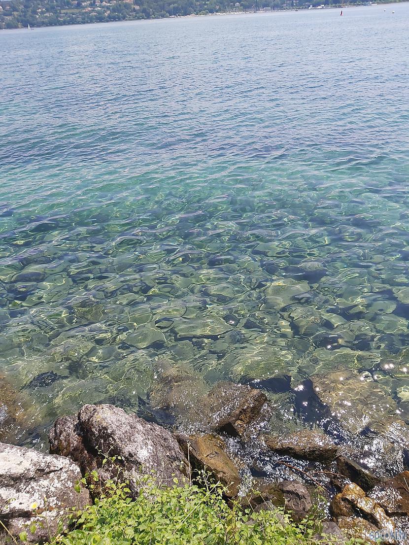 Ūdens skaisti dzidrs Autors: The Diāna Ženēva bildēs