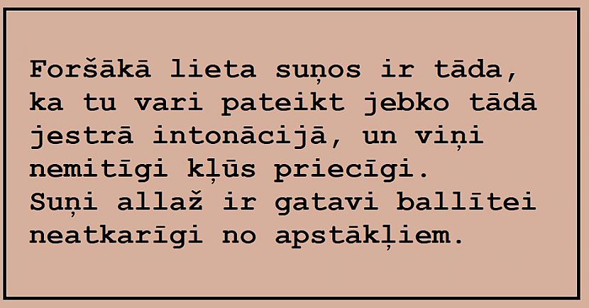 Autors: The Diāna Jociņi pirmdienai