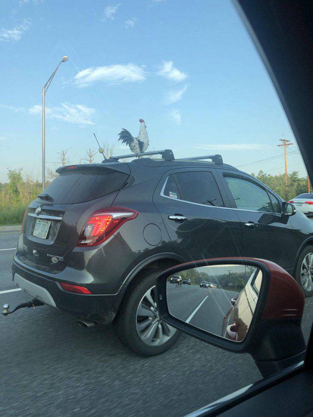 Kāds vīrs aizsēdējies pie... Autors: es tēvocis Asorti ar tekstu šodienai (03.08.2019)