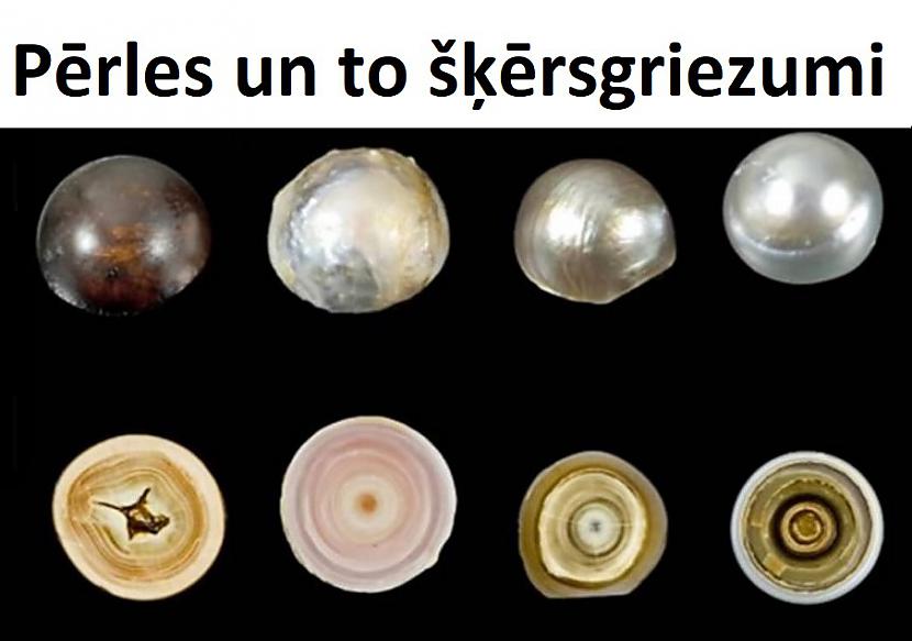 Autors: The Diāna Apskati lietas šķērsgriezumā!