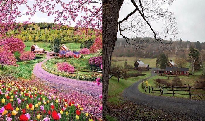 Autors: es tēvocis Neticiet šiem Instagram fotoattēliem