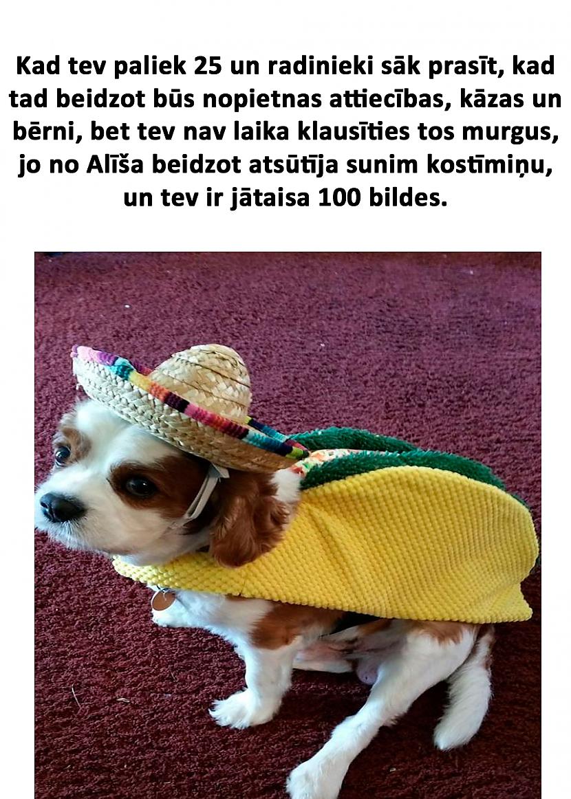 Autors: matilde 15 patiesas memītes un joki par tiem, kuriem NAV bērnu