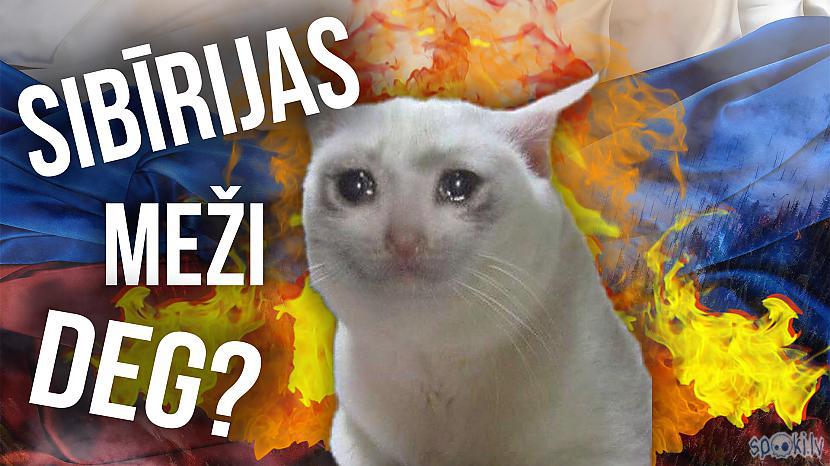 Autors: MMX123 Sibīrijā deg meži - interneta haips