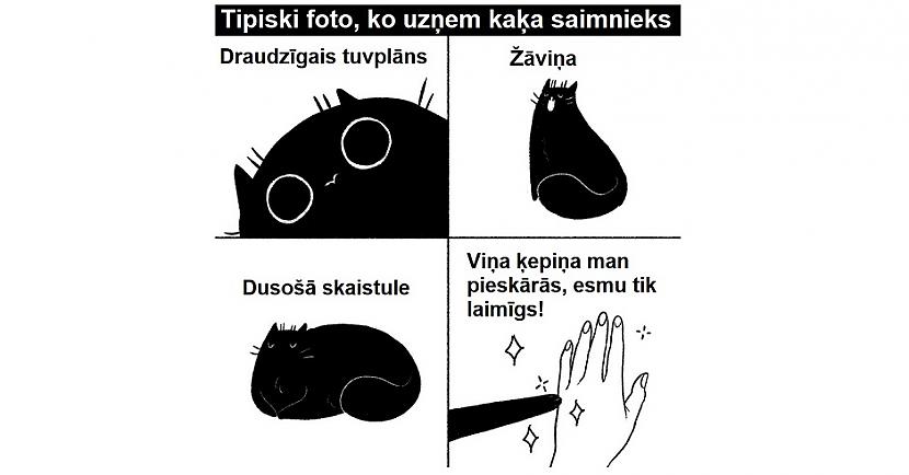 Autors: The Diāna 28 forši komiksiņi par dzīvi, sievietēm un kaķiem