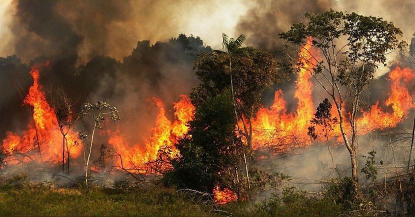 Pasauli iznīcina meža ugunsgrēki, pats sliktākais no tiem - Amazones mūžamežos