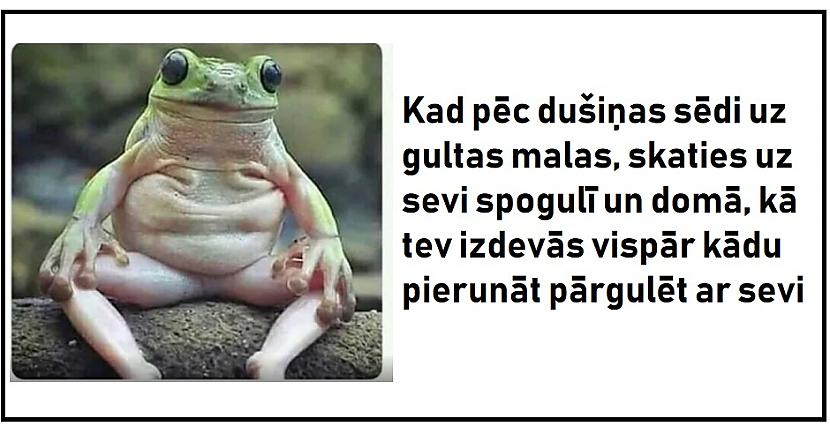 Autors: The Diāna Smieklīgāko joku un memīšu izlase