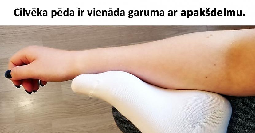 nbspJa netici tad scarono... Autors: matilde 18 interesanti fakti, kas pārsteigs pat viserudītāko cilvēku