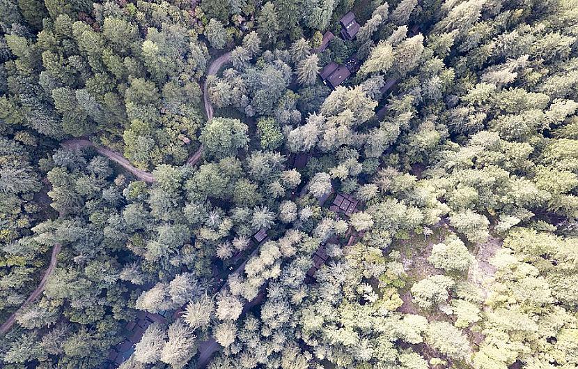 Bohēmijas birzsBohēmijas... Autors: Lestets Jaunā pasaules kārtība: 6 superslepenu biedrību ne tik slepenas mājvietas