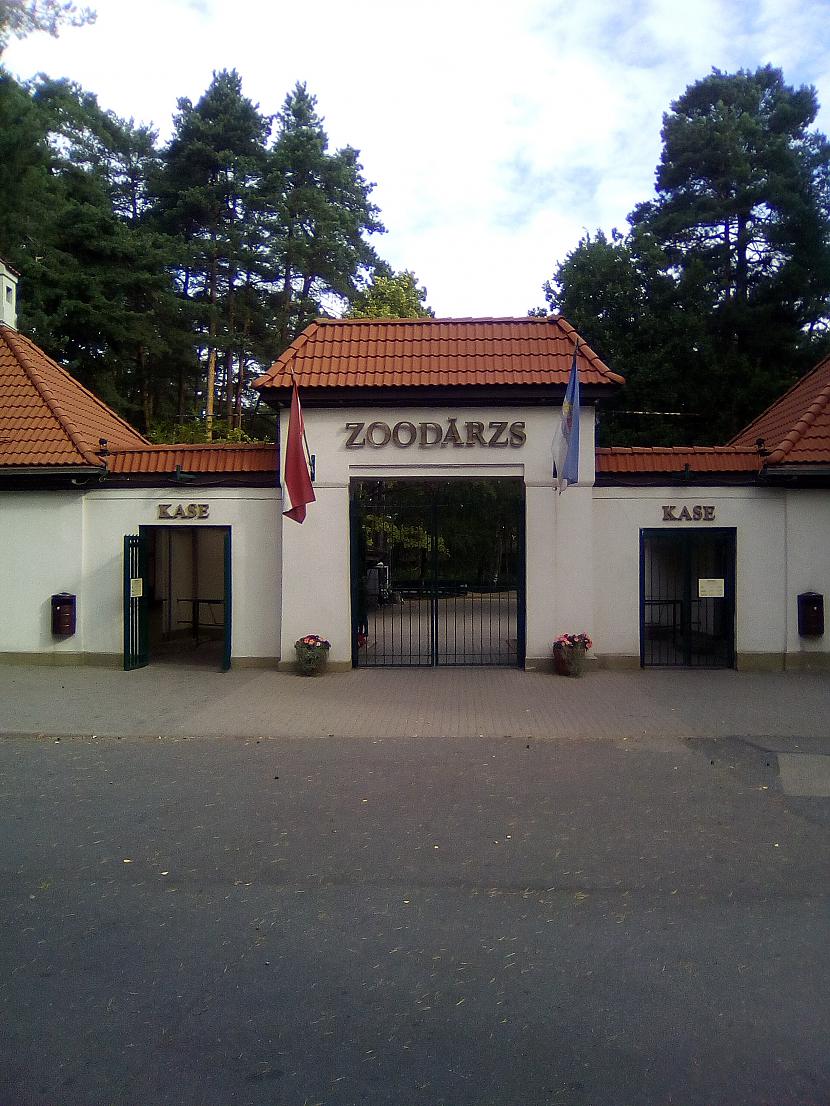 Autors: Drakonvīrs Atkal Rīgas zooloģiskajā dārzā..