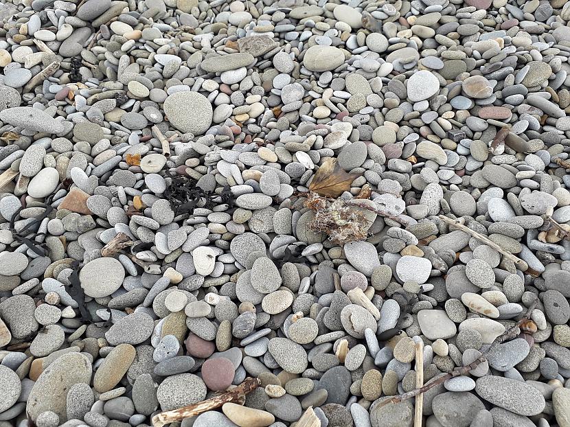 Autors: Griffith Dunraven Bay, Velsa, 7. septembris. 1/2 daļa.