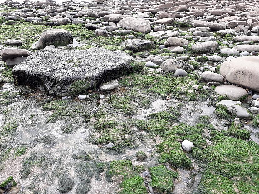 Autors: Griffith Dunraven Bay, Velsa, 7. septembris. 1/2 daļa.