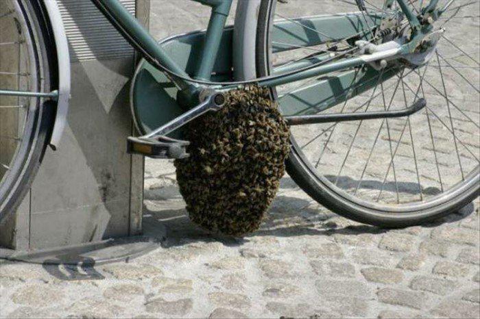 Pēc scaronokējoscaronas... Autors: es tēvocis Asorti ar tekstu šodienai (16.09.2019)